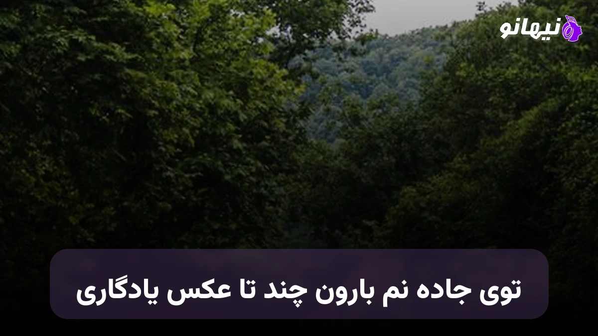 دانلود آهنگ توی جاده نم بارون چند تا عکس یادگاری صدای زن